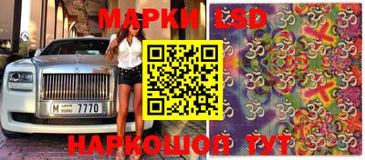 индика Донской