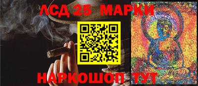 Альфа ПВП Дубна